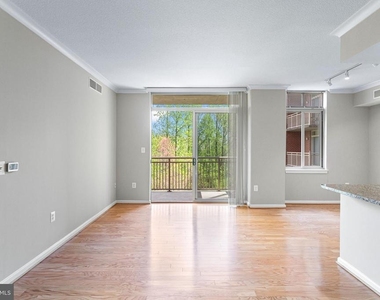 4480 Market Commons Drive - Photo Thumbnail 13