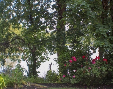 7 Kendall Boulevard - Photo Thumbnail 8