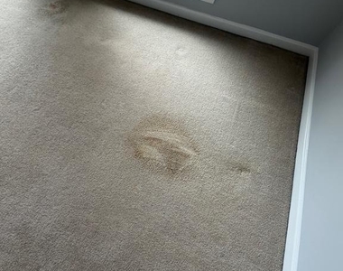 1106 Arcola Avenue - Photo Thumbnail 38