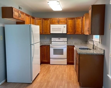 13928 Mustang Hill Lane - Photo Thumbnail 10