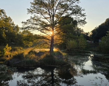 6 Cypress Pt - Photo Thumbnail 18