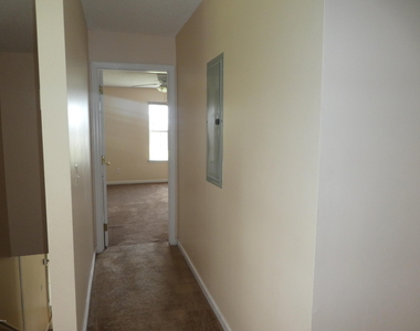 1017 Crestwood Street - Photo Thumbnail 19