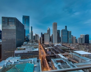 310 S Michigan Avenue - Photo Thumbnail 41