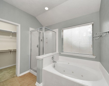 24822 Diamond Run Court - Photo Thumbnail 17