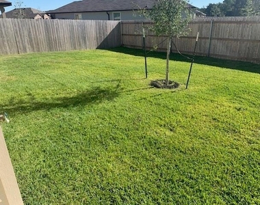 203 Comal Drive - Photo Thumbnail 5