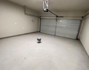 17680 Tree Of Heaven - Photo Thumbnail 27