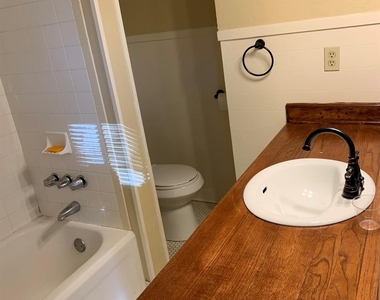 1317 Sneed Drive - Photo Thumbnail 16