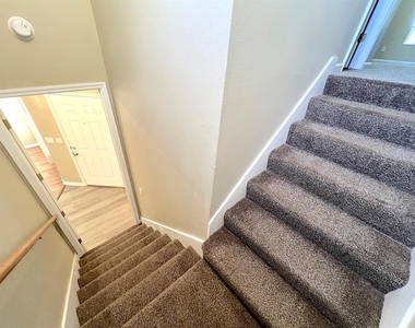 20 Regis Lane - Photo Thumbnail 28