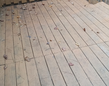 1606 Kirkland Drive - Photo Thumbnail 14
