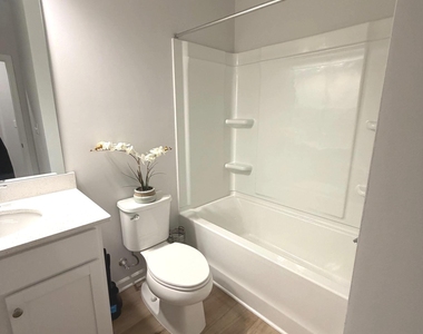 205 Wallace Street - Photo Thumbnail 15