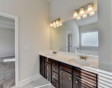 1622 Dover Creek Lane - Photo Thumbnail 43