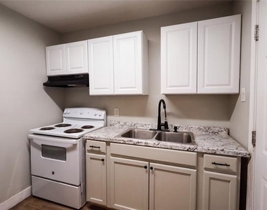 117 Lister Street - Photo Thumbnail 6