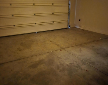41240 W Capistrano Drive - Photo Thumbnail 14