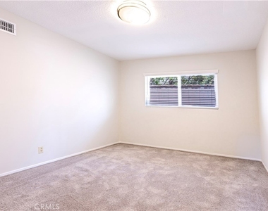2833 Graysby - Photo Thumbnail 5