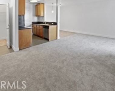 10982 Roebling - Photo Thumbnail 5