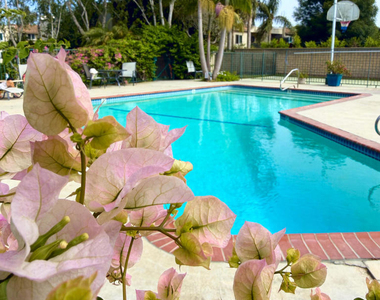 6441 Kanan Dume Road - Photo Thumbnail 22