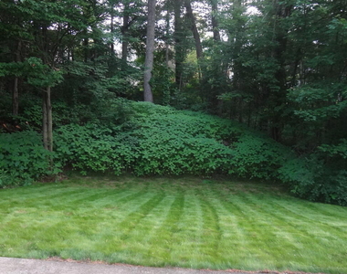 4007 Chaucer Place - Photo Thumbnail 55