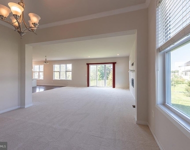 41313 Red Birch Drive - Photo Thumbnail 34