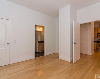 317 W Morgan Street - Photo Thumbnail 17