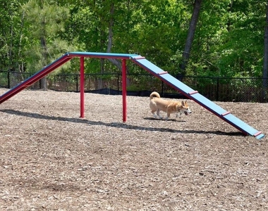 6417 Mentor Place - Photo Thumbnail 21