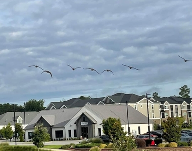 6417 Mentor Place - Photo Thumbnail 23