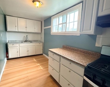 252 W 21st Street - Photo Thumbnail 4