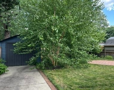 213 Maple Terrace - Photo Thumbnail 29