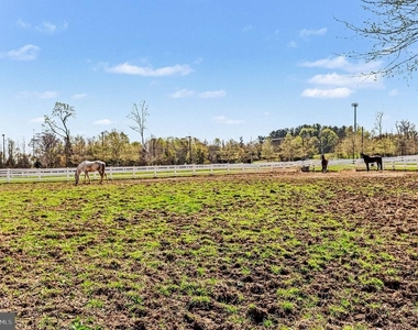 10878 Foxtrot Circle - Photo Thumbnail 38
