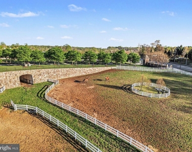 10878 Foxtrot Circle - Photo Thumbnail 41