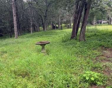 214 The Forest Rd - Photo Thumbnail 13