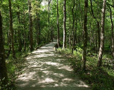 187 Beale Avenue - Photo Thumbnail 51