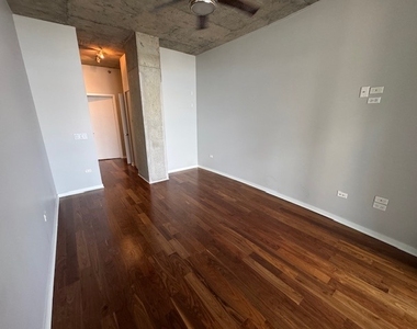700 N Larrabee Street - Photo Thumbnail 15