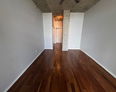 700 N Larrabee Street - Photo Thumbnail 16
