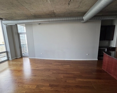 700 N Larrabee Street - Photo Thumbnail 9