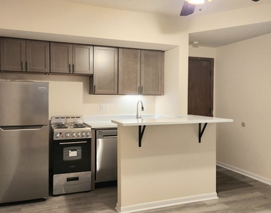 1504 N Dearborn Parkway - Photo Thumbnail 1