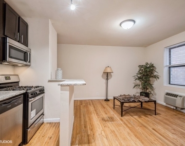 1504 N Dearborn Parkway - Photo Thumbnail 4