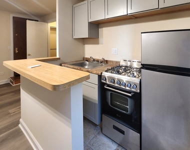 1504 N Dearborn Parkway - Photo Thumbnail 2
