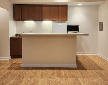 1504 N Dearborn Parkway - Photo Thumbnail 13