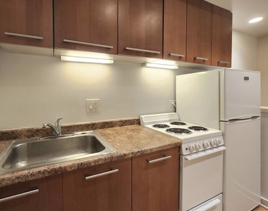 1504 N Dearborn Parkway - Photo Thumbnail 15