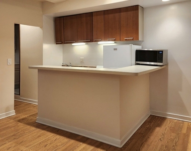 1504 N Dearborn Parkway - Photo Thumbnail 14