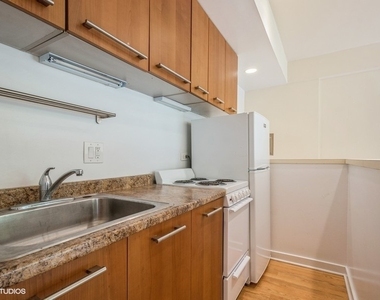 1504 N Dearborn Parkway - Photo Thumbnail 4