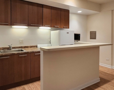 1504 N Dearborn Parkway - Photo Thumbnail 12