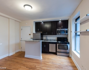 1430 N Dearborn Parkway - Photo Thumbnail 4
