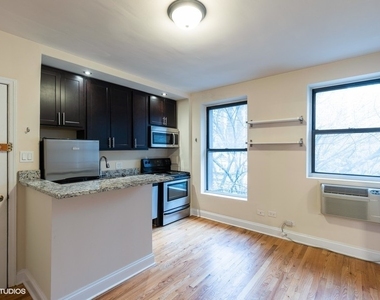 1430 N Dearborn Parkway - Photo Thumbnail 5