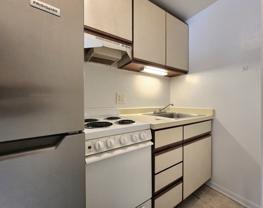 1430 N Dearborn Parkway - Photo Thumbnail 6