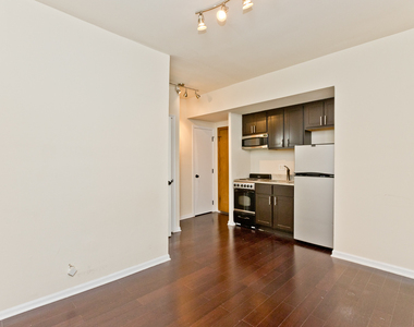 1430 N Dearborn Parkway - Photo Thumbnail 4