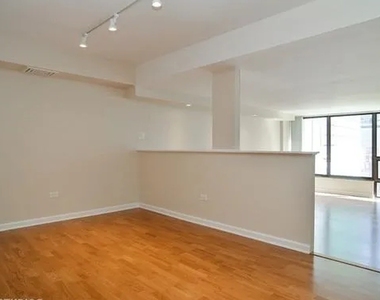 230 E Ontario Street - Photo Thumbnail 2