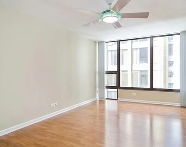 230 E Ontario Street - Photo Thumbnail 8