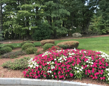 50 Sentinel - Photo Thumbnail 5