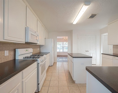17210 Double Lilly Drive - Photo Thumbnail 19